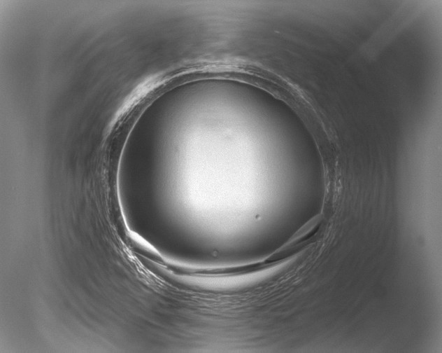 X0000086321456200703301205