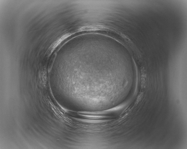 X0000086321457200703301205