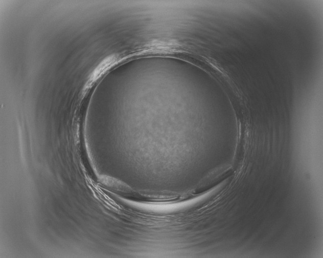 X0000086321459200703301205