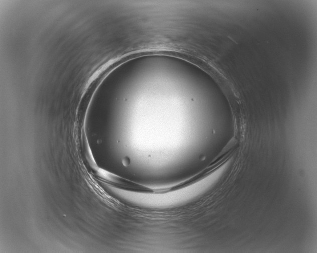 X0000086321460200703301205