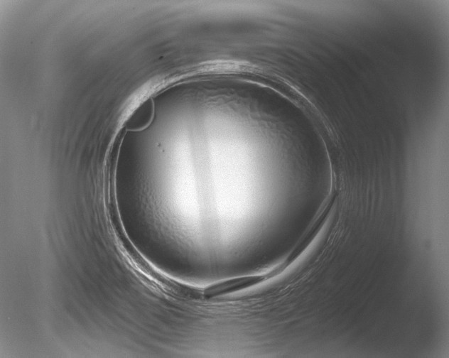 X0000086321467200703301205