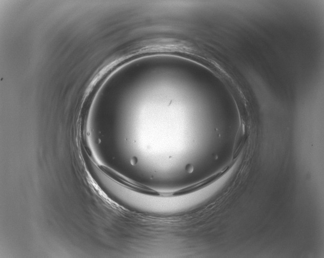 X0000086321468200703301205