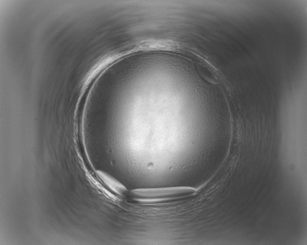 X0000086321471200703301205