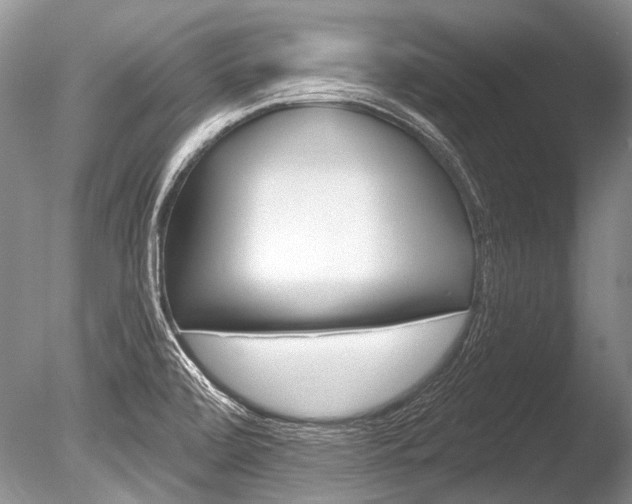 X0000086321472200703301205