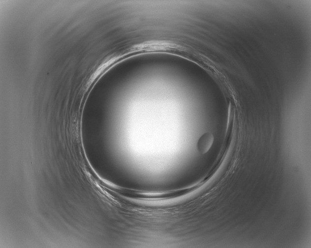 X0000086321473200703301204