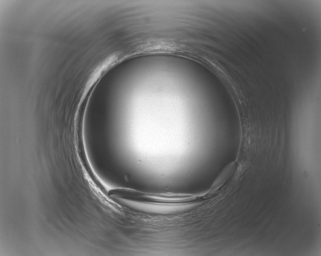 X0000086321475200703301204