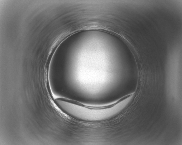 X0000086321476200703301204