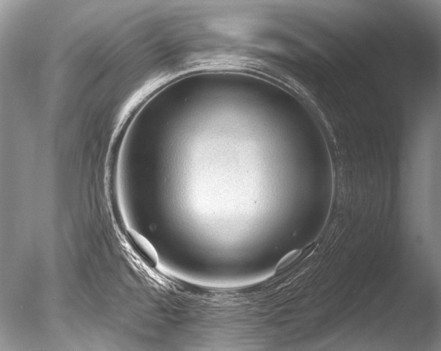 X0000086321480200703301204