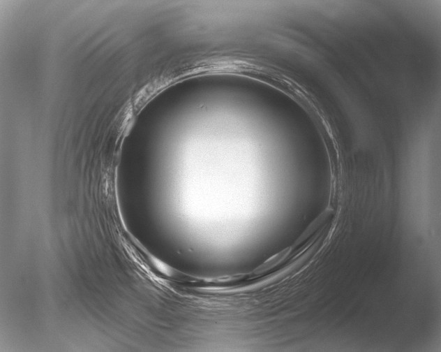 X0000086321481200703301204