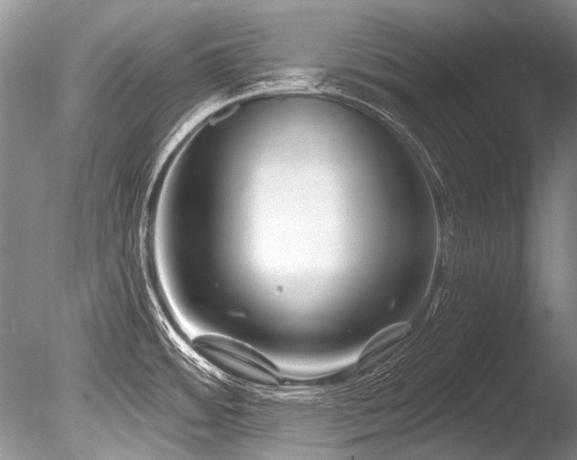 X0000086321484200703301204