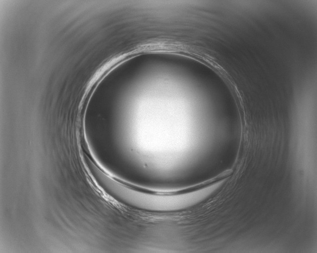 X0000086321486200703301204