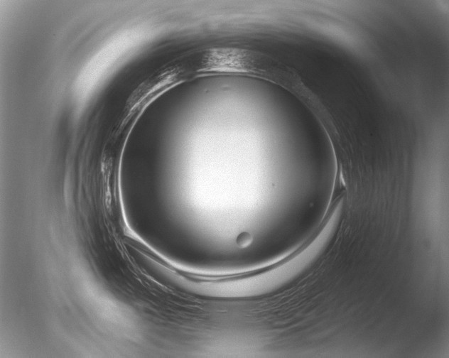 X0000086321487200703301204