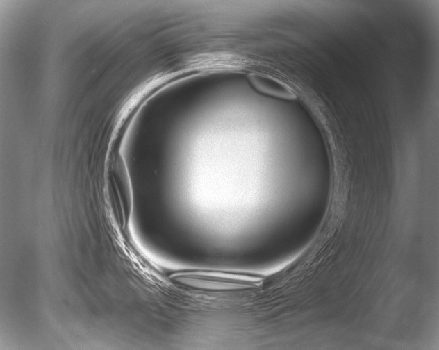 X0000086321488200703301204
