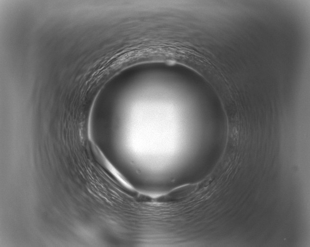 X0000086321490200703301203