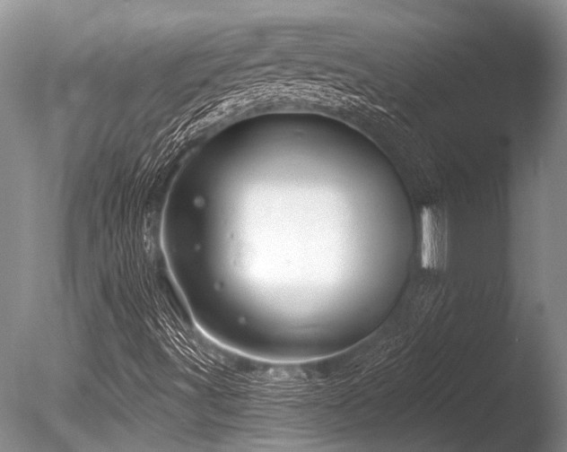 X0000086321491200703301203