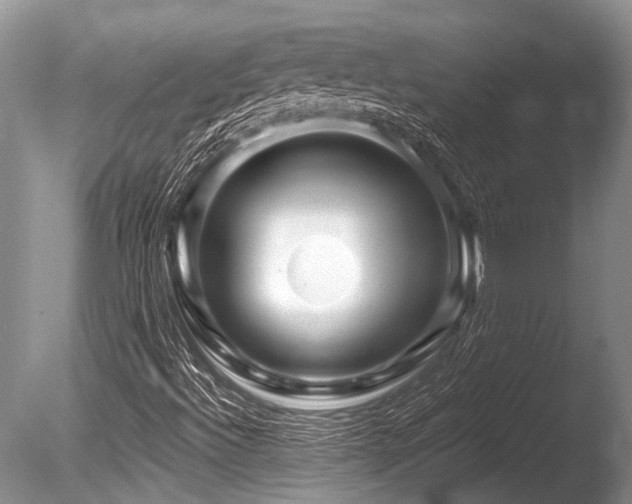 X0000086321492200703301203