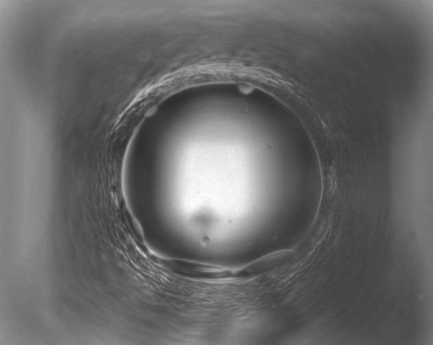X0000086321494200703301203