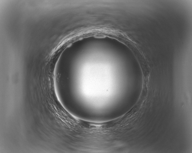 X0000086321496200703301203