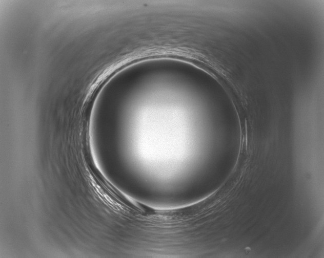 X0000086321500200703301204