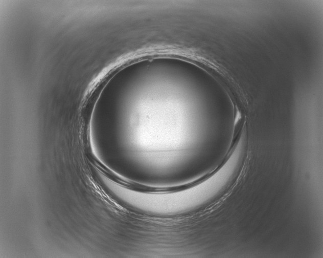 X0000086321502200703301204
