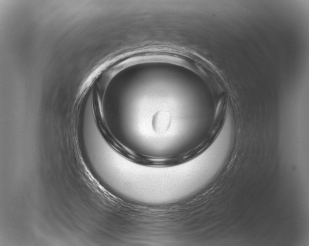 X0000086321504200703301204