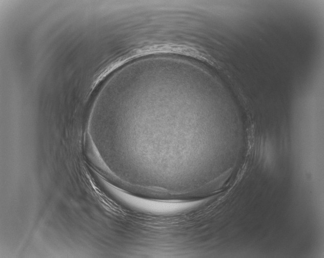 X0000086321505200703301204