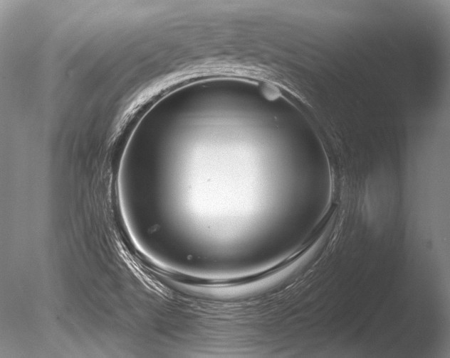 X0000086321507200703301204