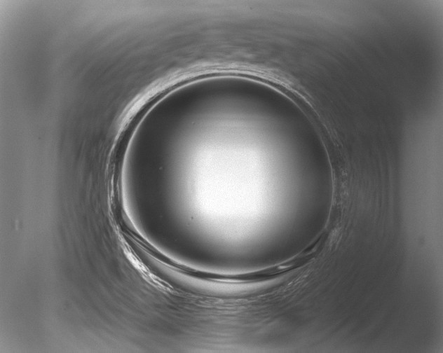 X0000086321511200703301204