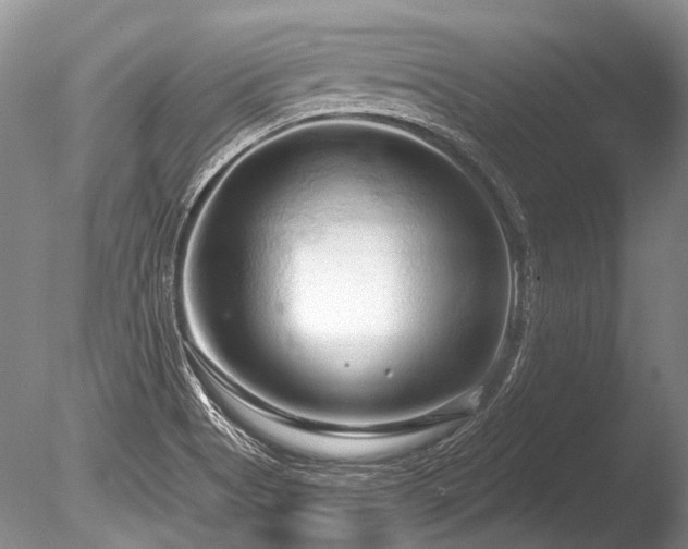 X0000086321513200703301204
