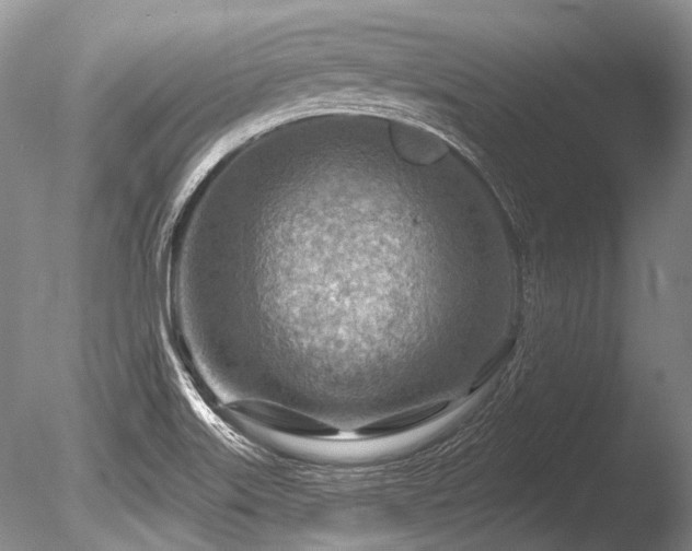 X0000086321515200703301204