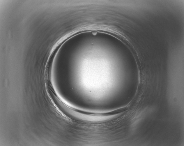 X0000086321517200703301204