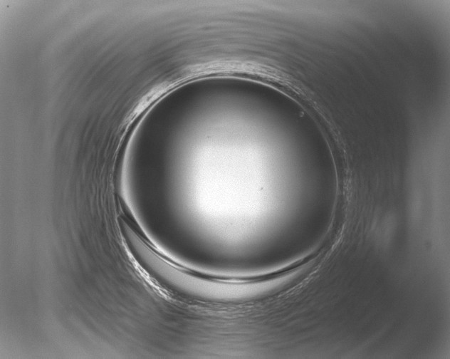 X0000086321521200703301204
