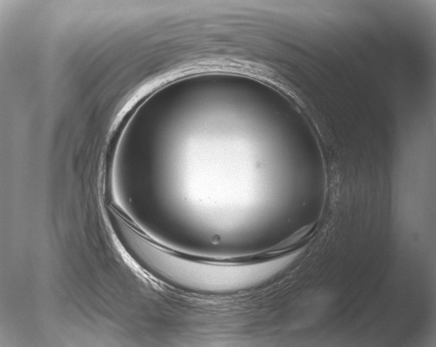 X0000086321523200703301204
