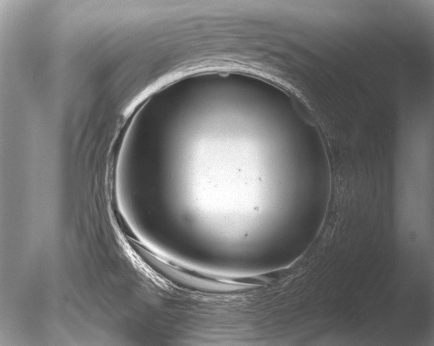 X0000086321526200703301204