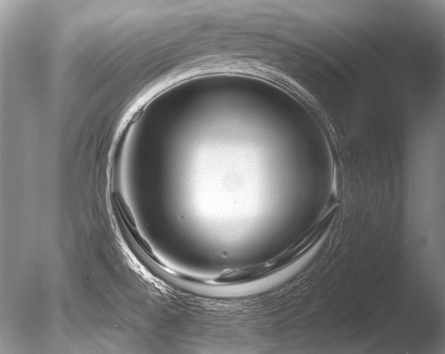X0000086321528200703301204