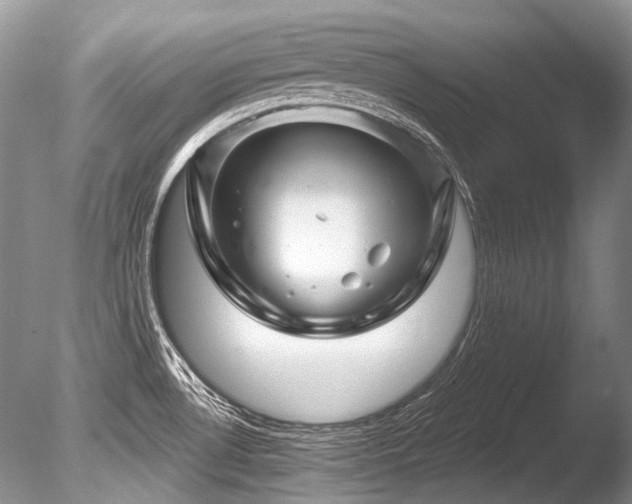 X0000086321530200703301204