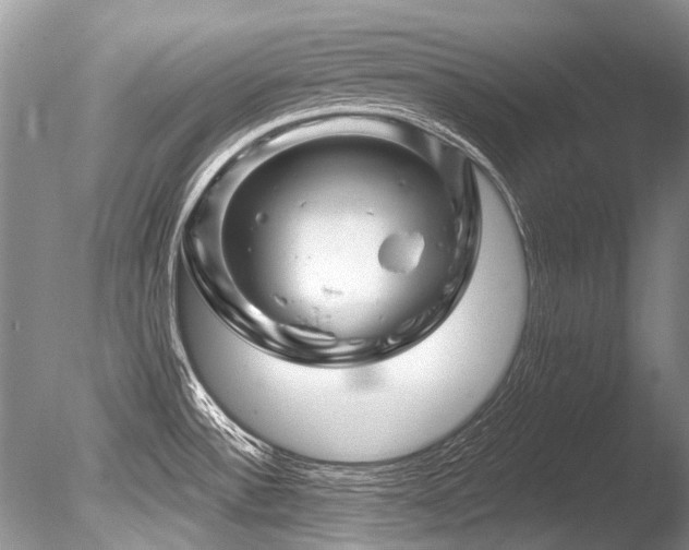 X0000086321532200703301204
