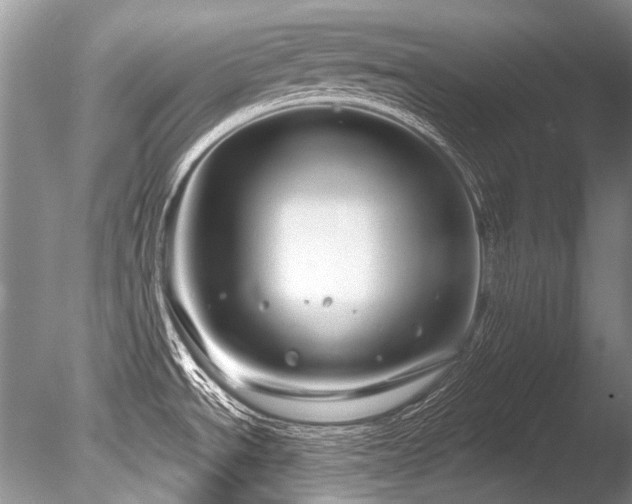 X0000086321534200703301204