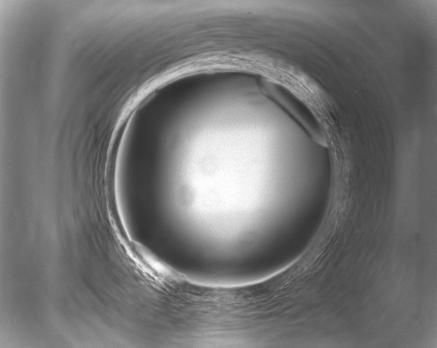 X0000086321536200703301204