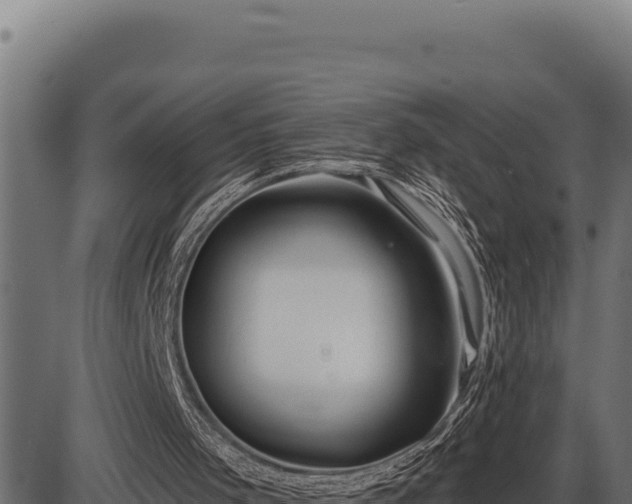 X0000086320001200704091124