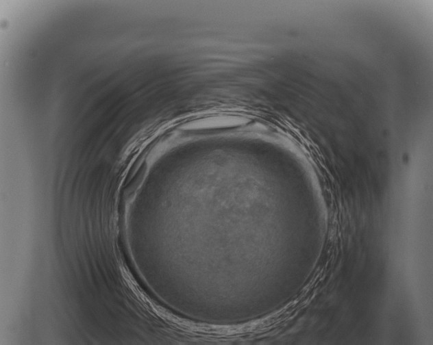 X0000086320002200704091124