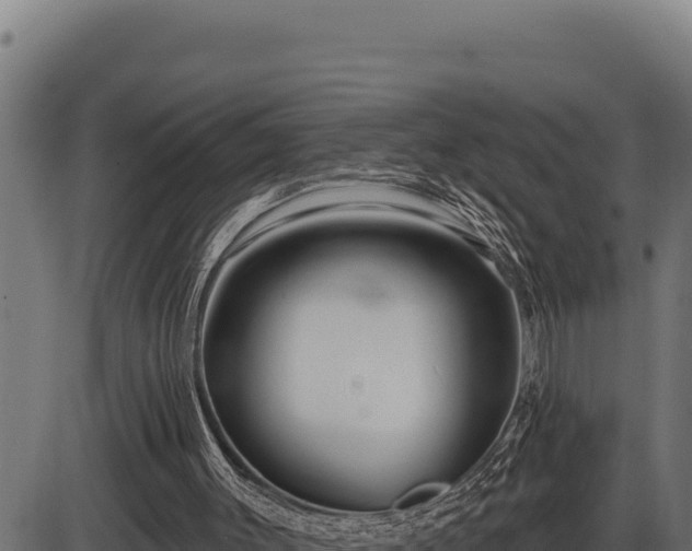 X0000086320003200704091124