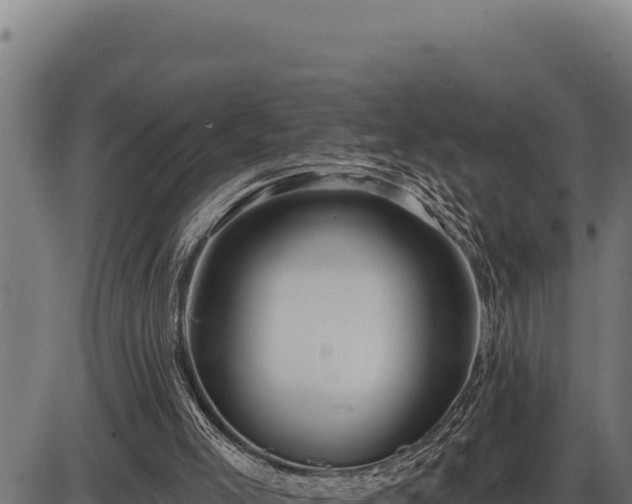 X0000086320005200704091124