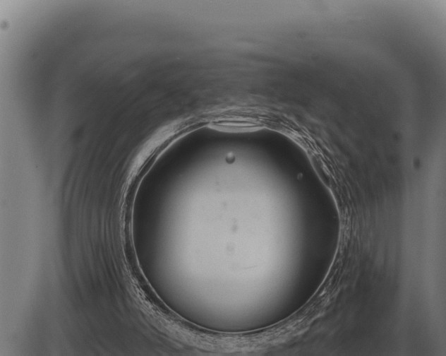 X0000086320006200704091124