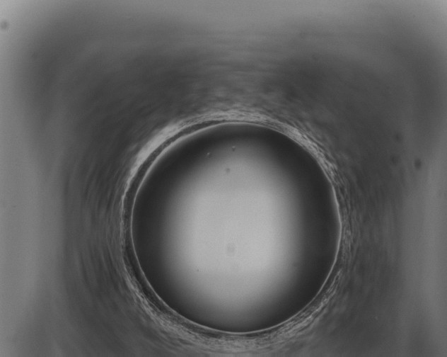 X0000086320008200704091124