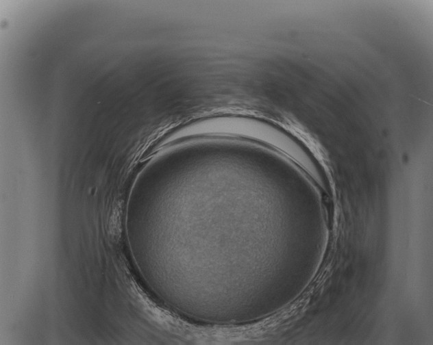 X0000086320009200704091124