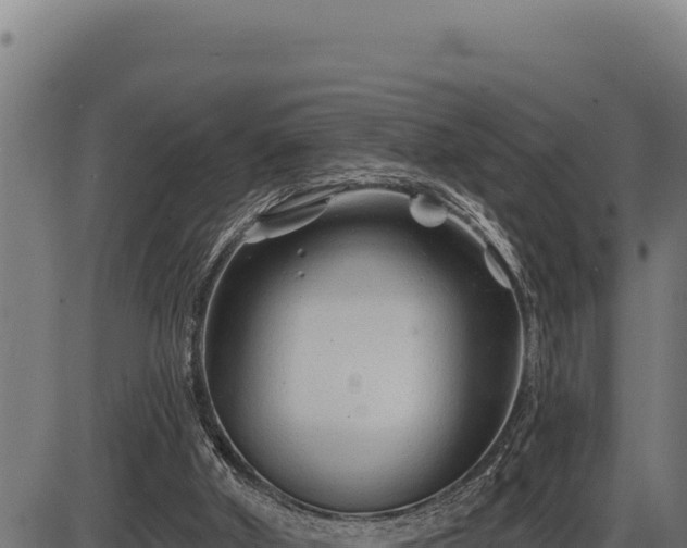 X0000086320010200704091124