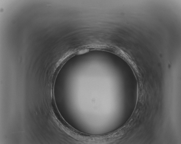 X0000086320011200704091124