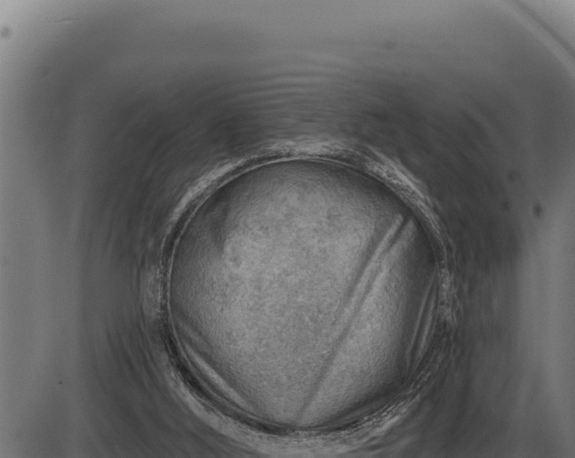 X0000086320012200704091124