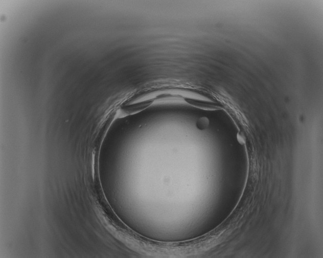 X0000086320014200704091124